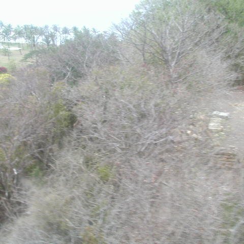 P4021525 P4021525