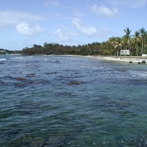 P4021540 P4021540