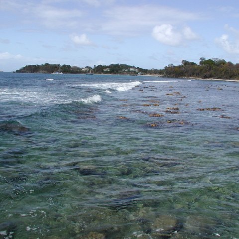 P4021541 P4021541