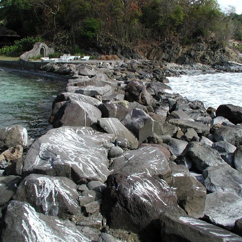 P4021542 P4021542