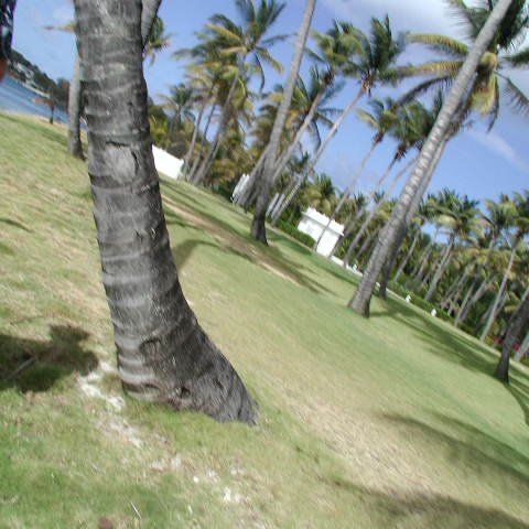 P4021552 P4021552