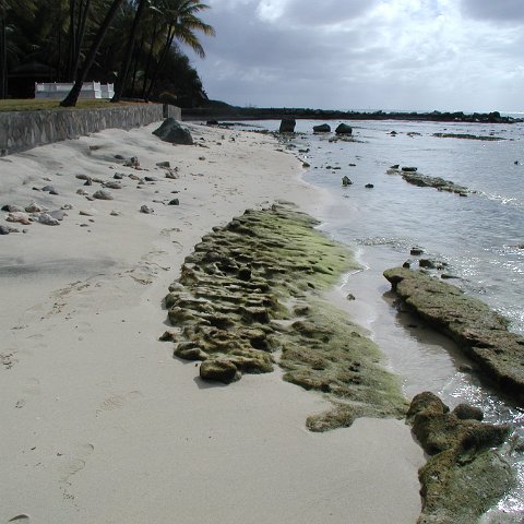 P4021555 P4021555