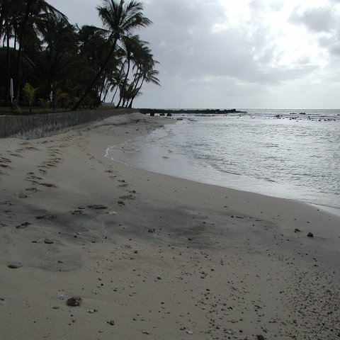 P4021560 P4021560