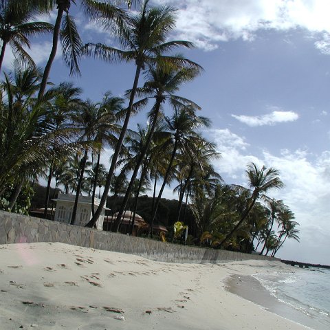 P4021565 P4021565