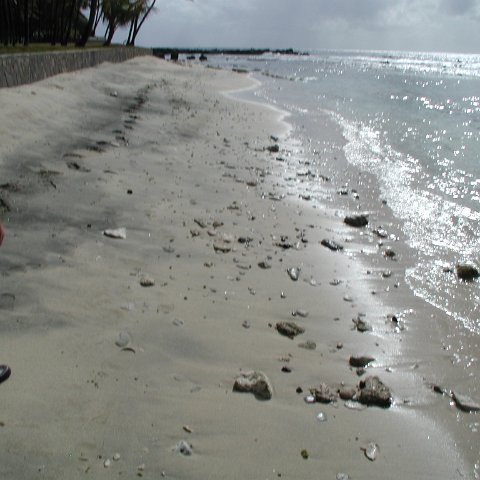P4021566 P4021566