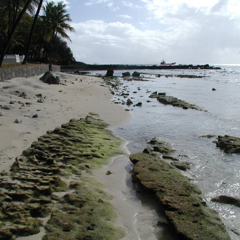 P4021567 P4021567