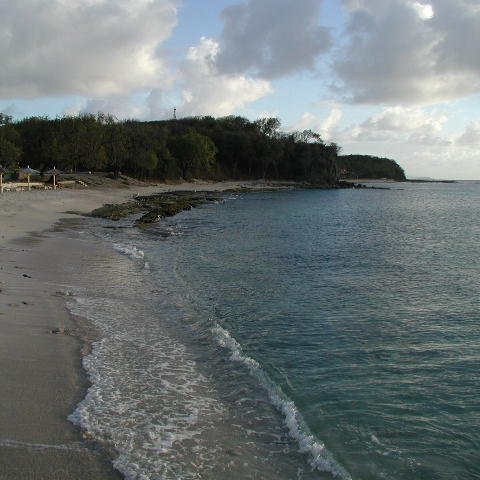 P4021599 P4021599