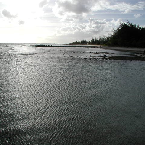 P4031709 P4031709