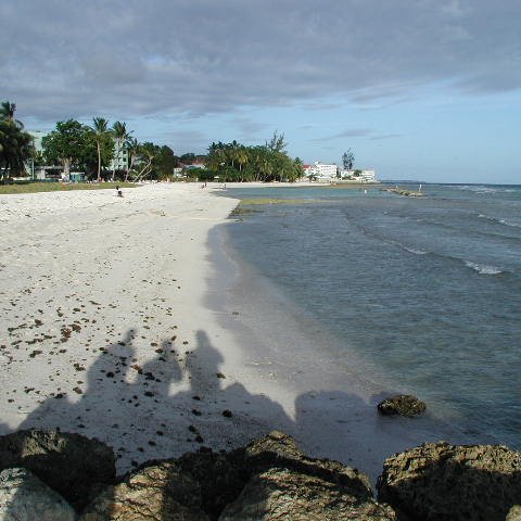 P4031717 P4031717