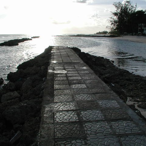 P4031720 P4031720