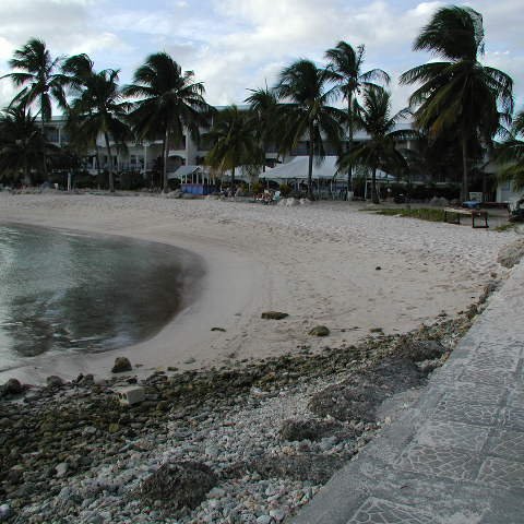 P4031721 P4031721