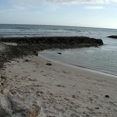 P4031727 P4031727