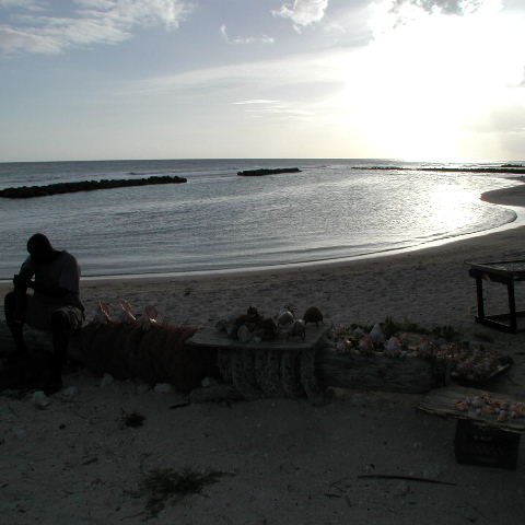 P4031729 P4031729