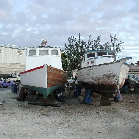 P4031739 P4031739