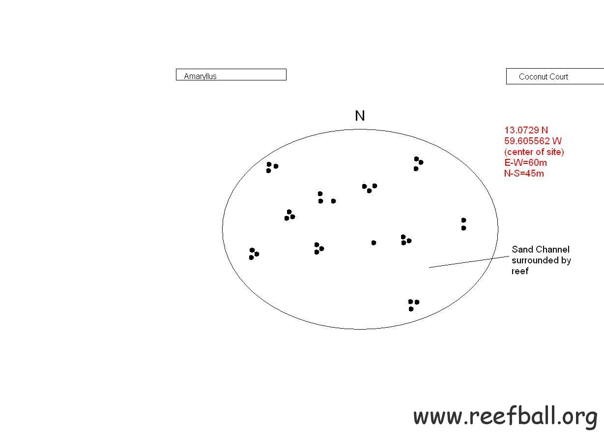 reef ball sketch map