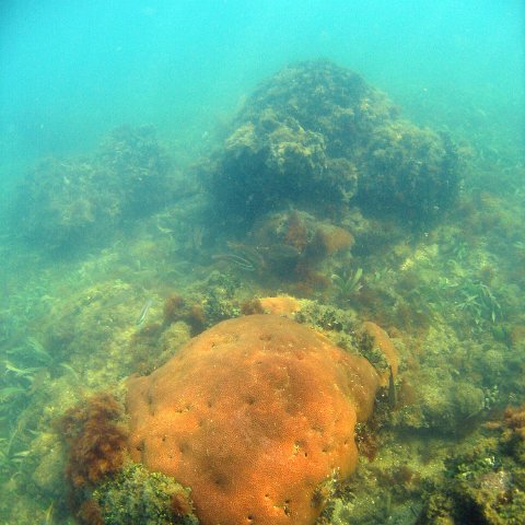 0019_exposure 0019_exposure