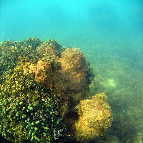 0028_exposure 0028_exposure