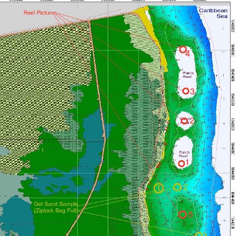 coralandsandsurvey