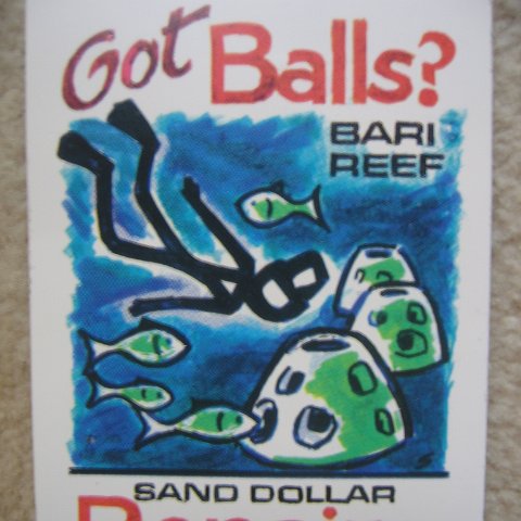 Sand Dollar Resort Reef Ball Sticker