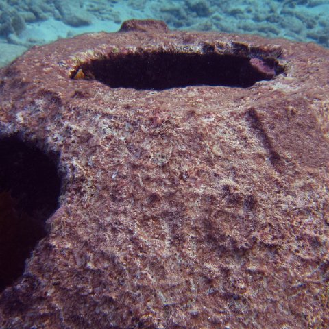IMG_4174 IMG_4174