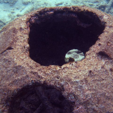 IMG_4175 IMG_4175