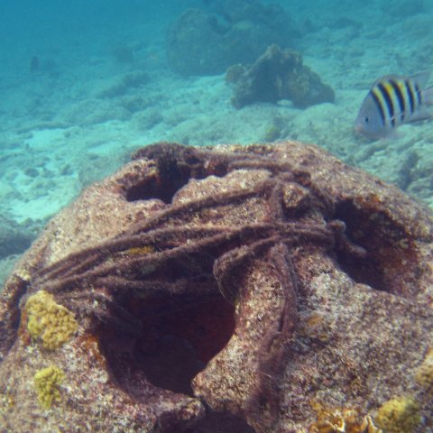 IMG_4182 IMG_4182