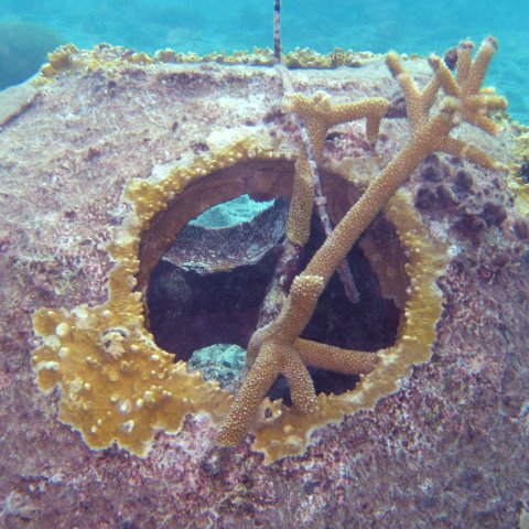 IMG_4185 IMG_4185