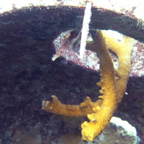 IMG_4189 IMG_4189