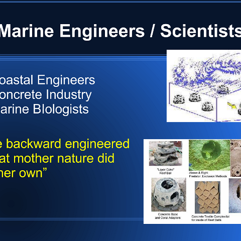 MaritimeAllianceKeynotePresentation (4) MaritimeAllianceKeynotePresentation (4)