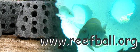 banner_reefball