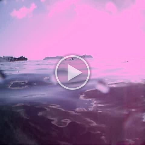 ASF_0109 ASF_0109