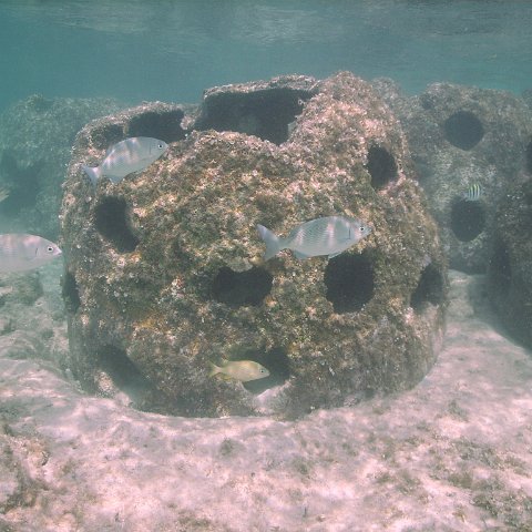 IMG_0016 IMG_0016