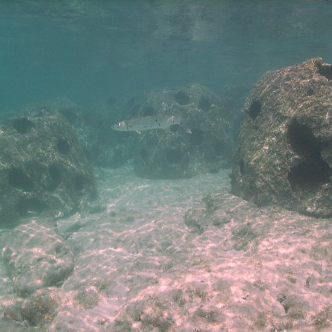 IMG_0017 IMG_0017