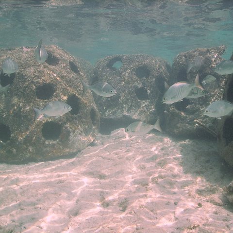 IMG_0018 IMG_0018