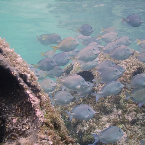 IMG_0023 IMG_0023