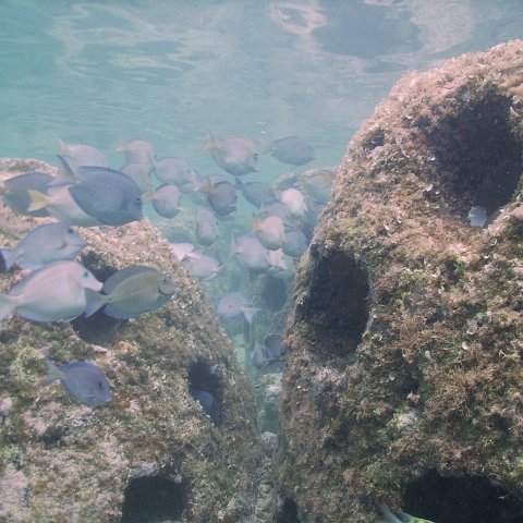 IMG_0024 IMG_0024