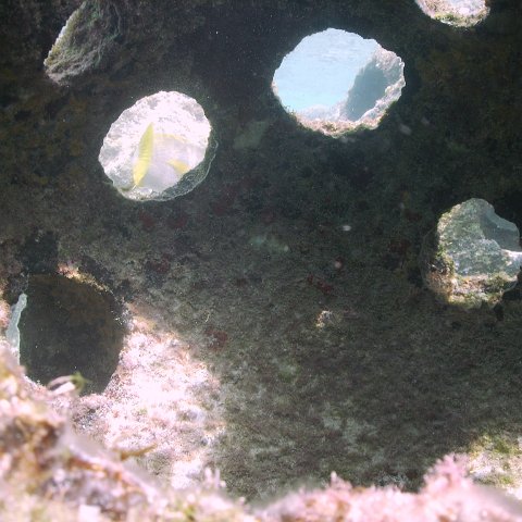 IMG_0026 IMG_0026