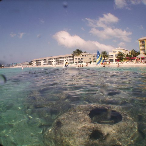 IMG_0030 IMG_0030