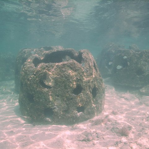 IMG_0032 IMG_0032