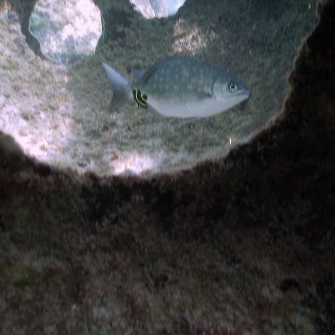 IMG_0037 IMG_0037