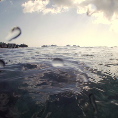 IMG_0110 IMG_0110