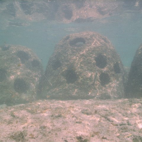 IMG_0118 IMG_0118