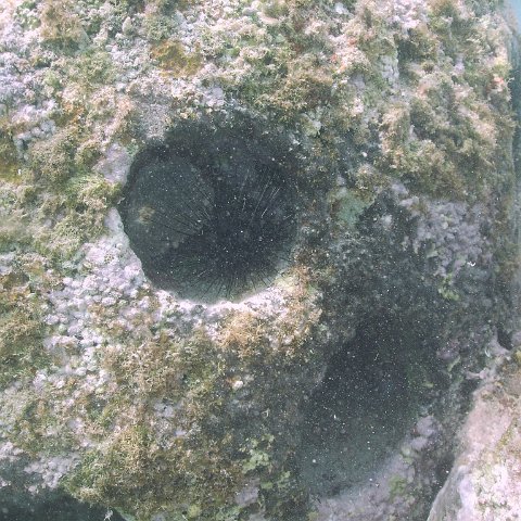 IMG_0123 IMG_0123