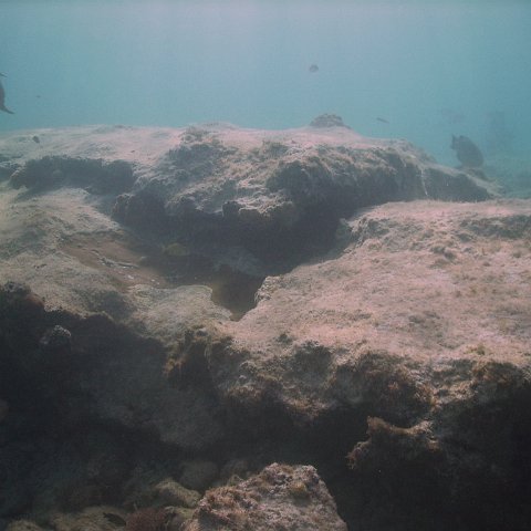 IMG_0140 IMG_0140