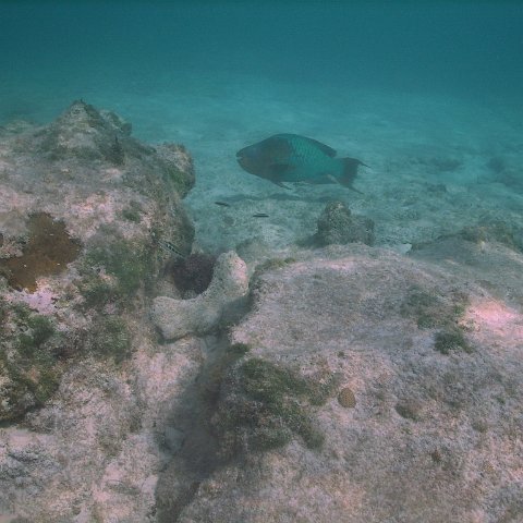 IMG_0142 IMG_0142
