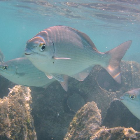 IMG_4635 IMG_4635