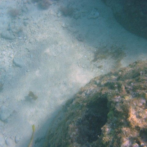 IMG_4637 IMG_4637