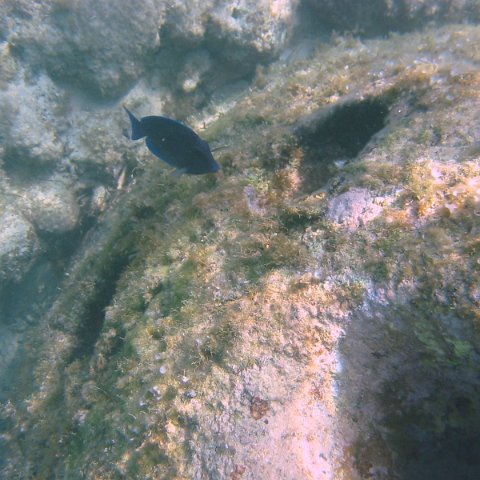 IMG_4639 IMG_4639