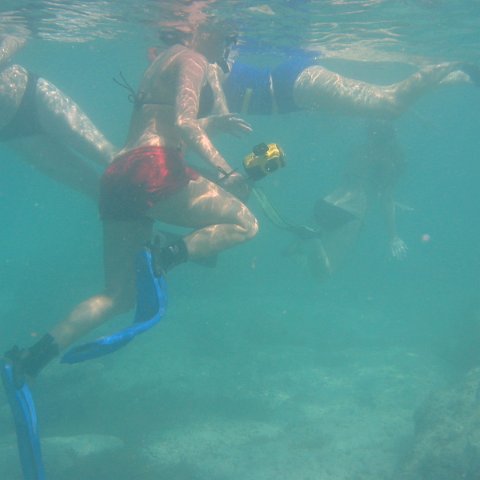 IMG_4640 IMG_4640