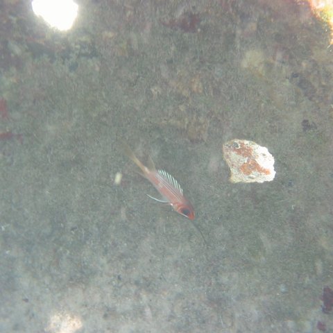 IMG_4642 IMG_4642